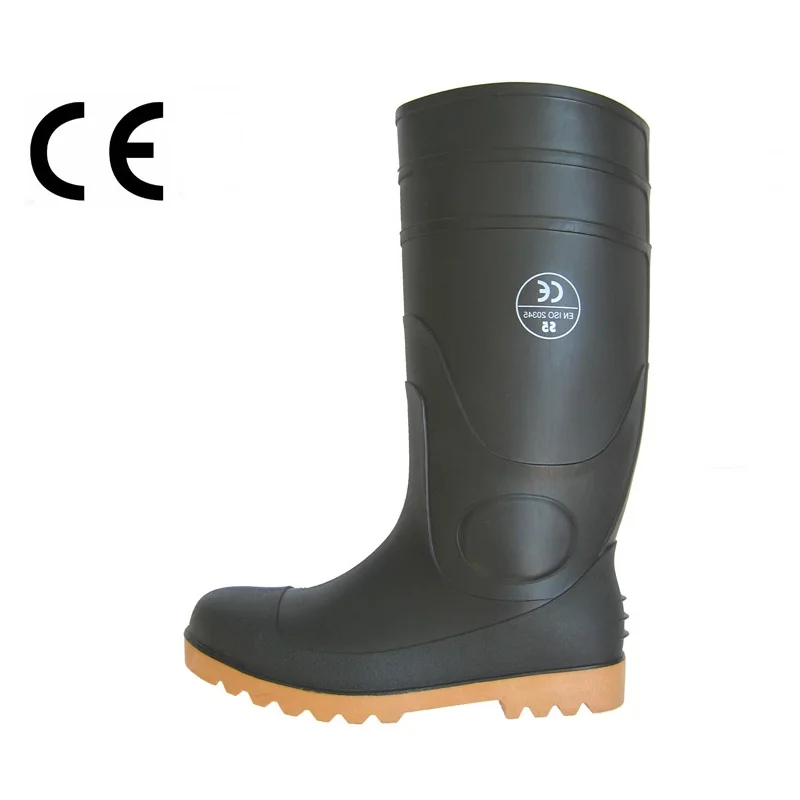 RAINBOOT (54)